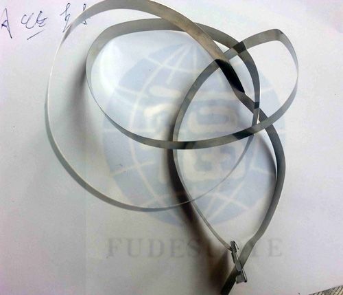 塑料封(feng)條鎖