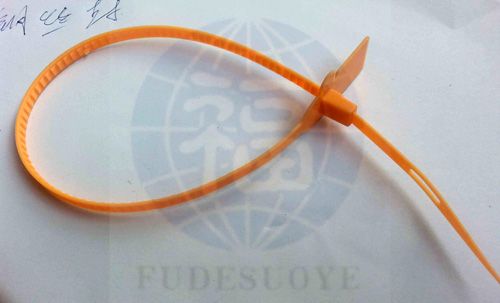 塑料封(feng)條鎖