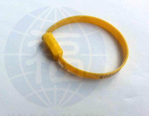 塑料封(feng)條鎖